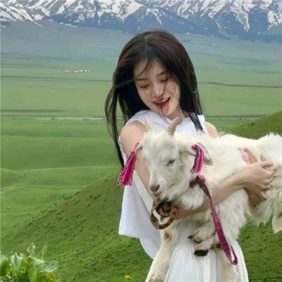 江湖儿女海报